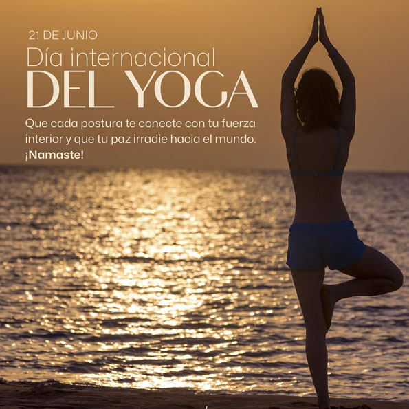 Wellness 3